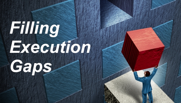Filling Execution Gaps: Building Success-Focused Organizations